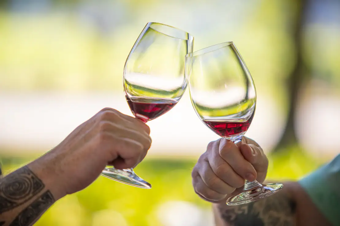 Wine tasting included